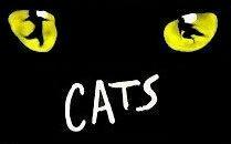 Bild von cats.JPG